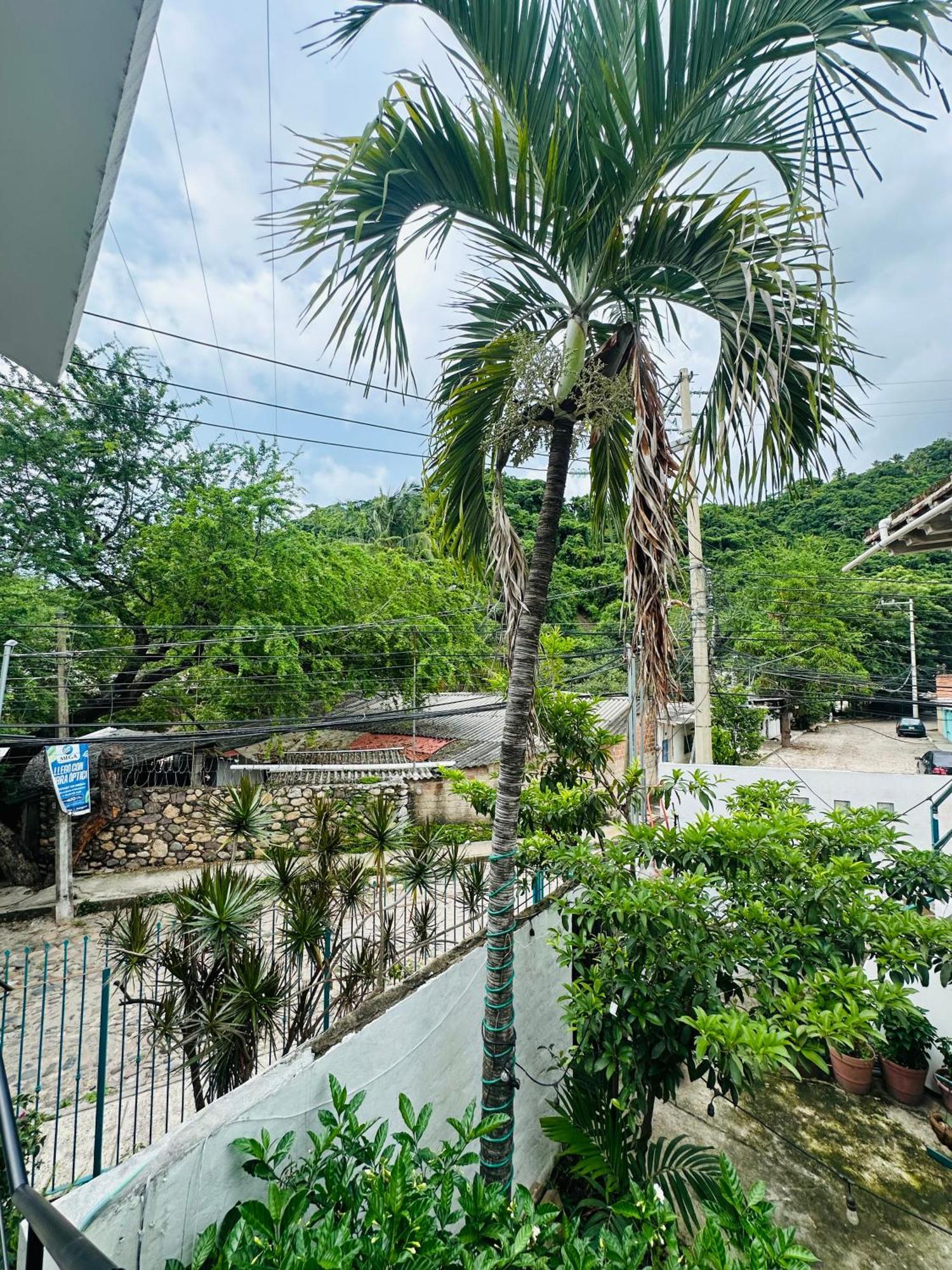 Loft Rio Apartment Puerto Vallarta Bagian luar foto